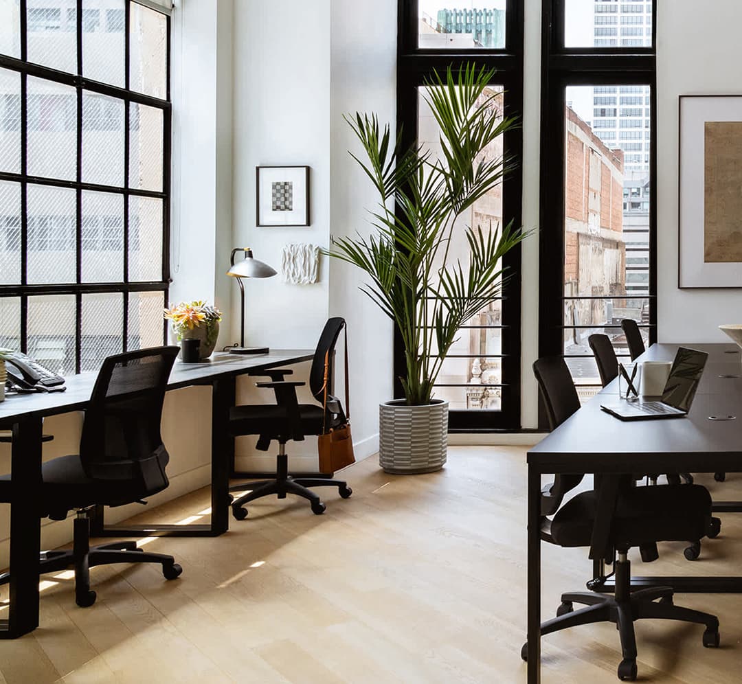 ollo New York office